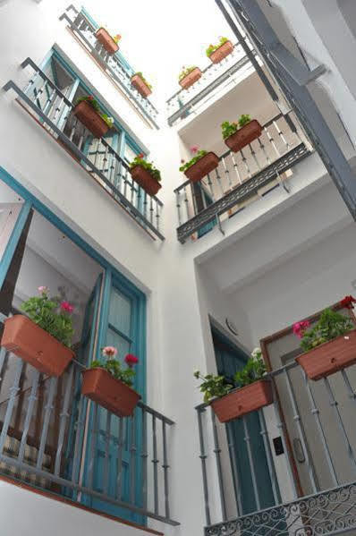 Appartement Monkeys Pureza House