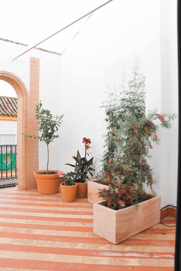 Appartement Monkeys Pureza House Sevilla